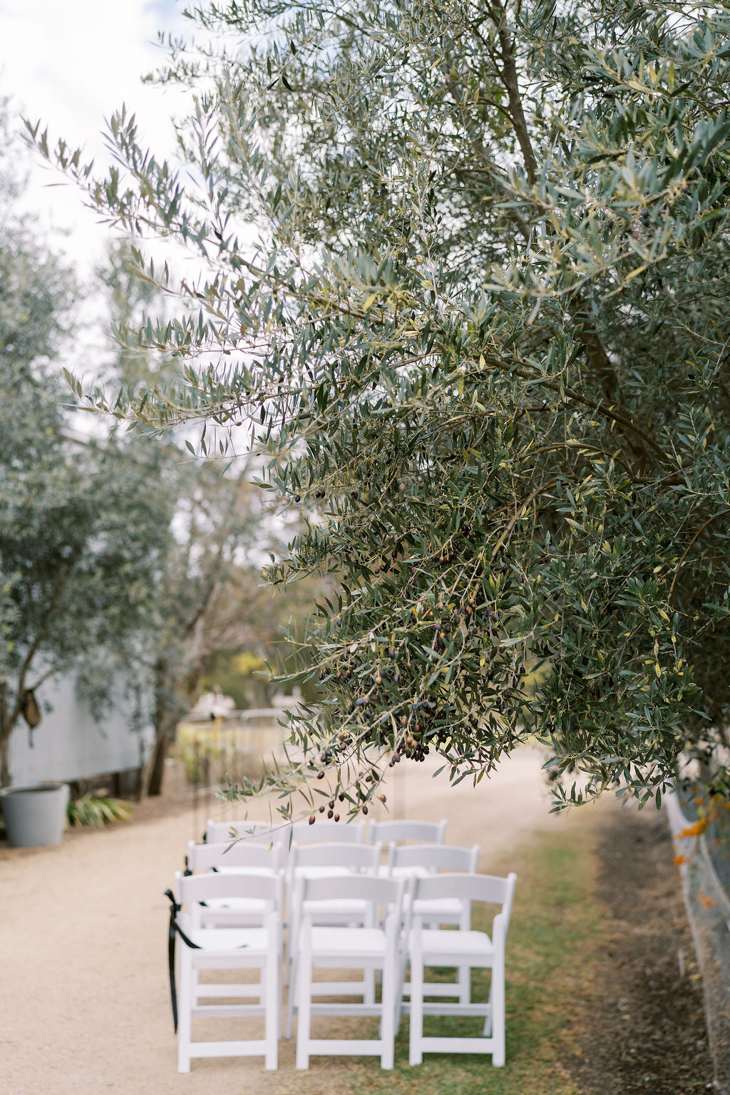 The Bridal Edit