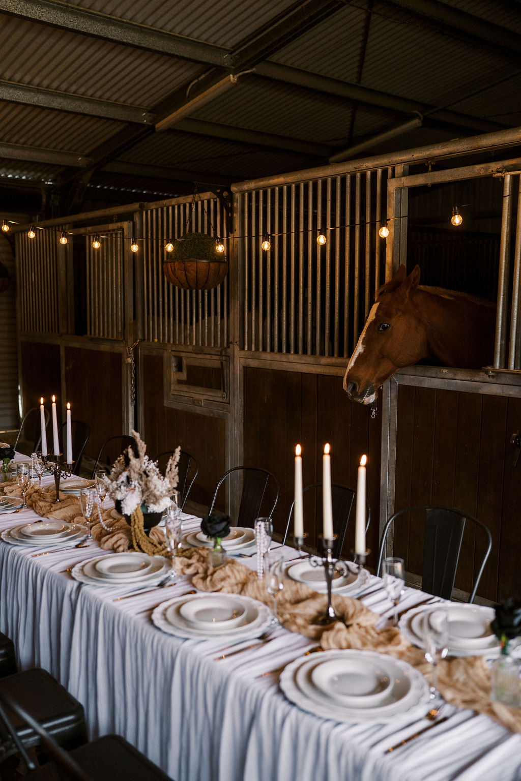The Reception Edit