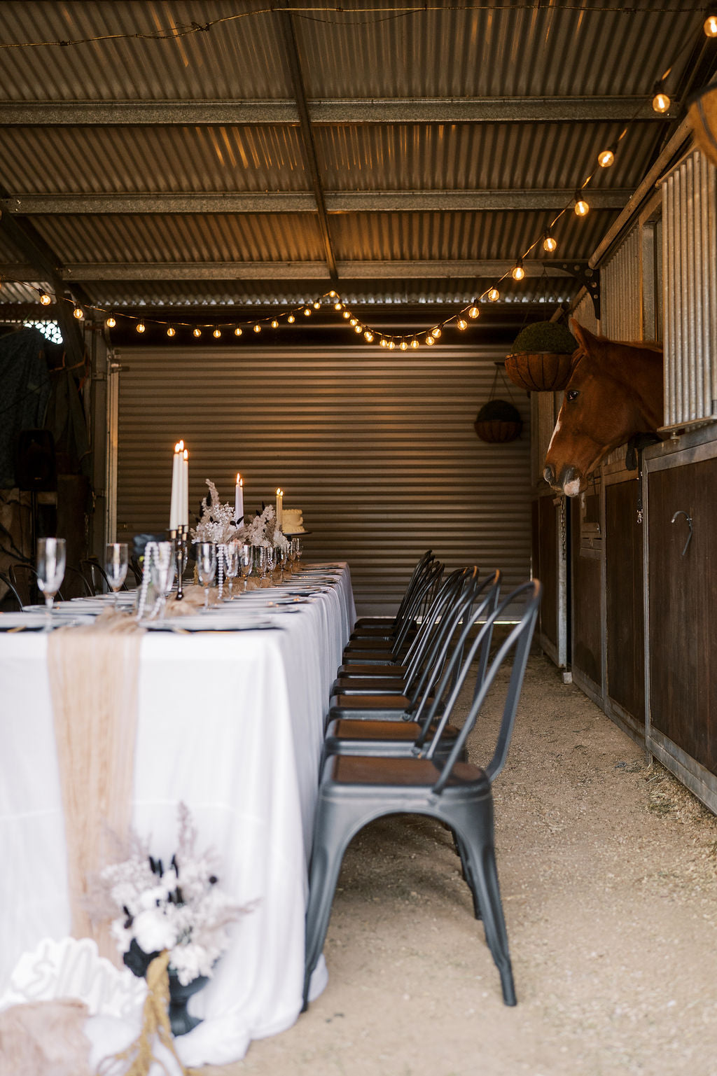 The Reception Edit