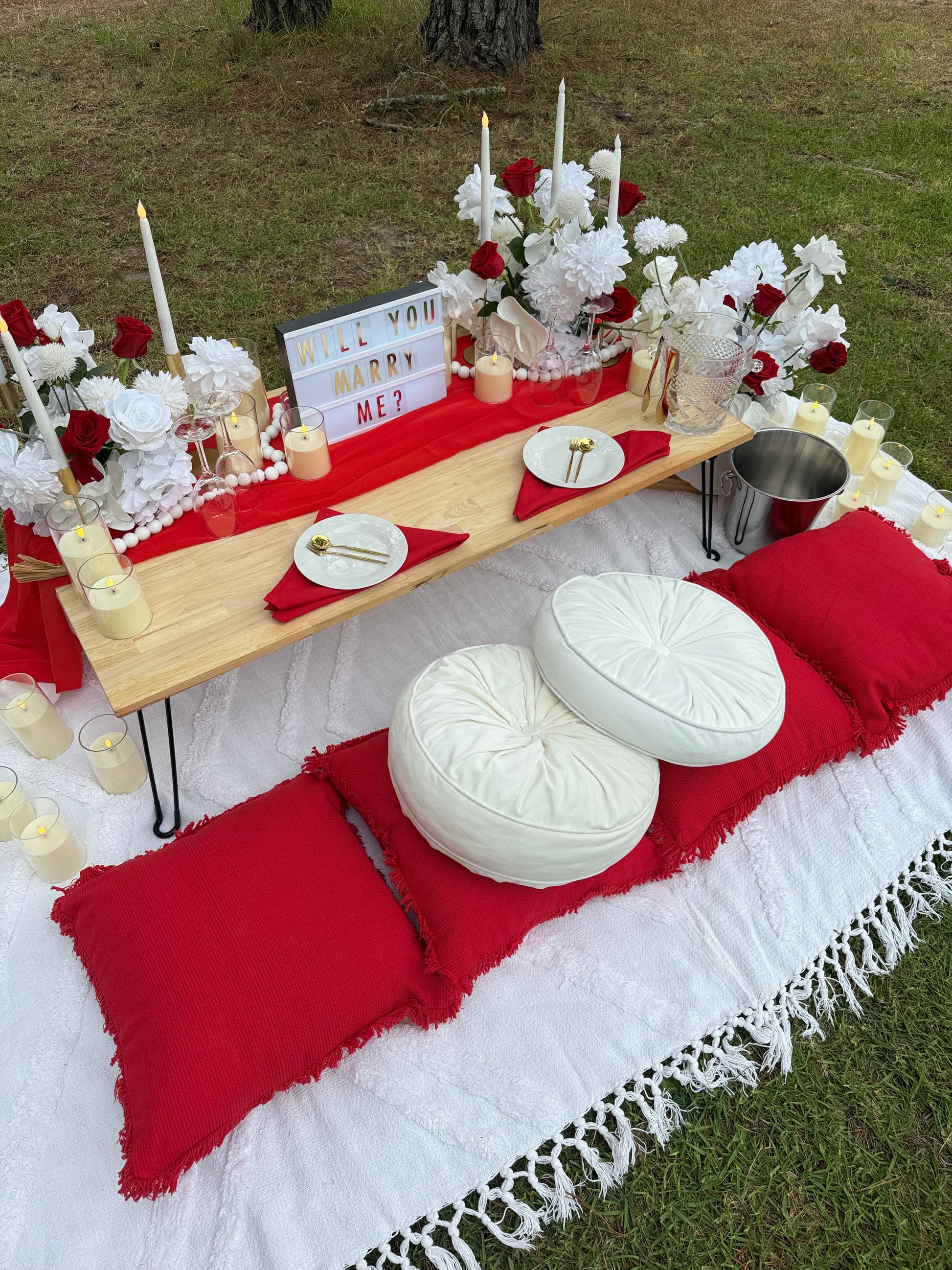 Outdoor picnic setup with red and white tablecloth, flowers, and cushions on grass.